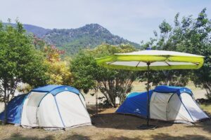 Kendi Çadırında Günlük Konaklama / Kişi Başı (Daily Accommodation in Own Tent / Per Person)