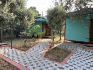 Bungalov Günlük Konaklama / Kişi Başı (Daily Accommodation in Bungalow / Per Person)