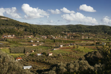 Orhanlı Köyü 1-2 Kasım’da gerçekleşecek Zeytin Hasadı Festivali’ne hazırlanıyor Orhanlı Köyü 1-2 Kasım’da gerçekleşecek Zeytin Hasadı Festivali’ne hazırlanıyor