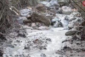 Jeoloji Mühendisleri Odası: Önce Erzincan-İliç, şimdi de Bursa-Kirazlıyayla