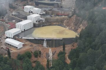 ‘Altın’dan daha değerli fındık tehlikede